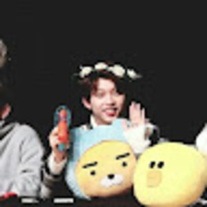 Meet your Posher, Carly